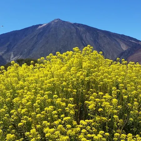 Sissi Boutique - The Terrace Between Ocean And Teide