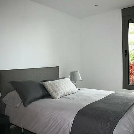 公寓 Sissi Boutique - The Terrace Between Ocean And Teide 圣乌尔苏拉