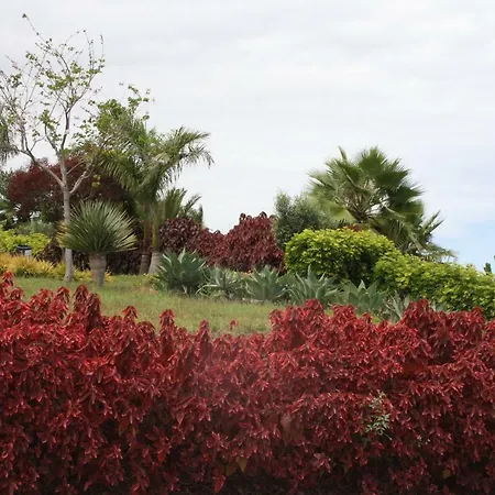 Sissi Boutique - The Terrace Between Ocean And Teide 公寓 圣乌尔苏拉