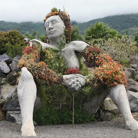 Sissi Boutique - The Terrace Between Ocean And Teide 公寓