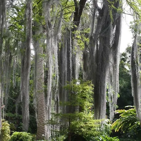 Sissi Boutique - The Terrace Between Ocean And Teide 公寓